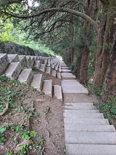 Image de Escalier des géants 1300 marches jusqu’à la plate-forme