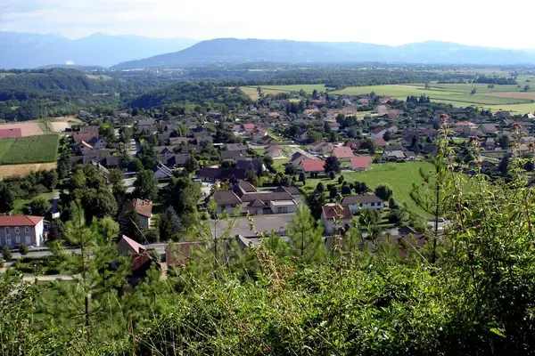 Monte Escalier Conseils Entreprise Monte escalier Apprieu