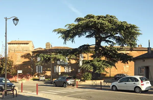 Monte Escalier Conseils Entreprise Monte escalier Aussonne