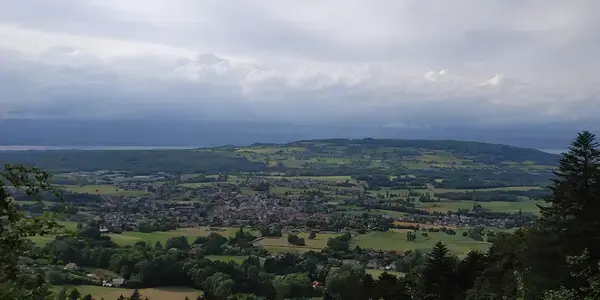 Monte Escalier Conseils Entreprise Monte escalier Bons-en-Chablais