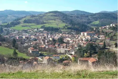 Monte Escalier Conseils Entreprise Monte escalier Bourg-Argental