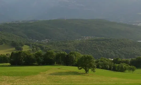 Monte Escalier Conseils Entreprise Monte escalier Bresson