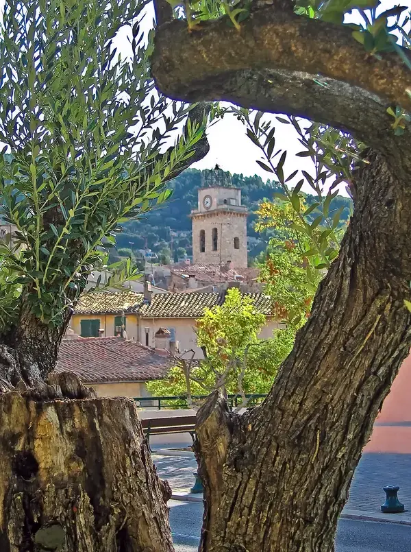 Monte Escalier Conseils Entreprise Monte escalier Ceyreste
