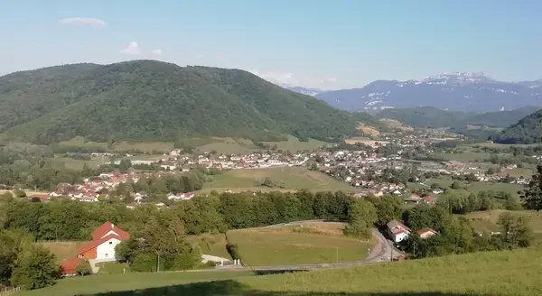 Monte Escalier Conseils Entreprise Monte escalier Chirens