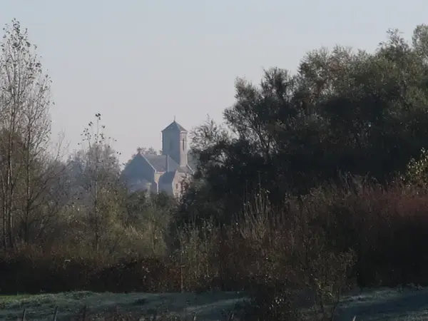Monte Escalier Conseils Entreprise Monte escalier Crissey