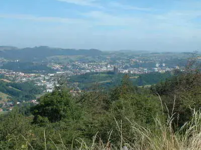 Monte Escalier Conseils Entreprise Monte escalier Firminy
