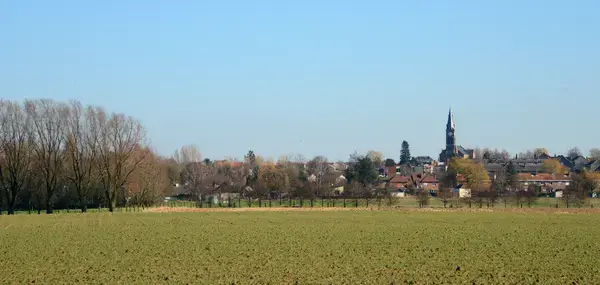 Monte Escalier Conseils Entreprise Monte escalier Halluin