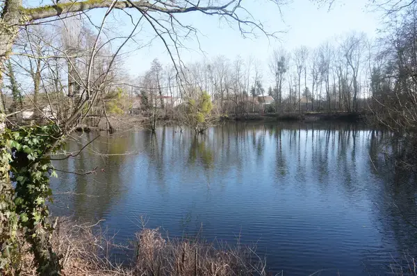 Monte Escalier Conseils Entreprise Monte escalier La Chapelle-Saint-Luc