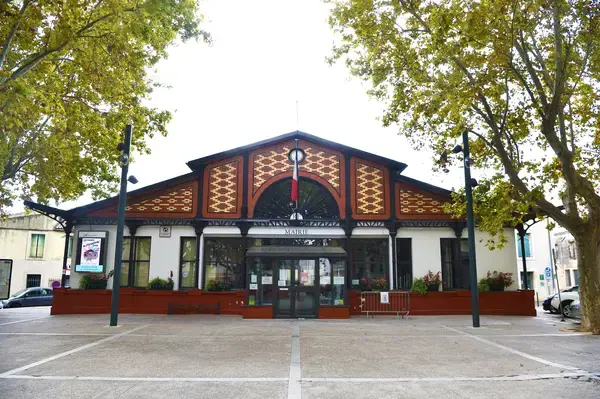 Monte Escalier Conseils Entreprise Monte escalier Lansargues