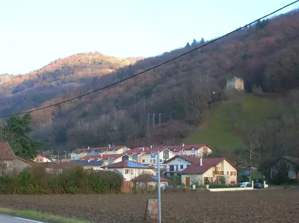 Monte Escalier Conseils Entreprise Monte escalier Le Versoud