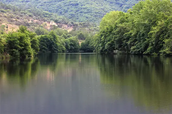 Monte Escalier Conseils Entreprise Monte escalier Les Adrets-de-l'Estérel