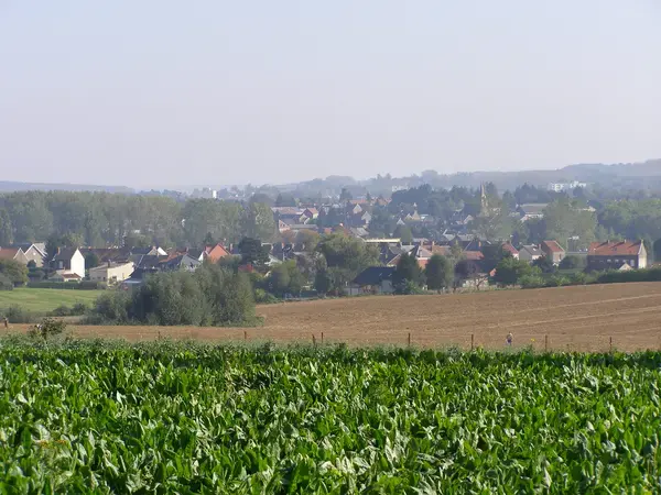 Monte Escalier Conseils Entreprise Monte escalier Marpent