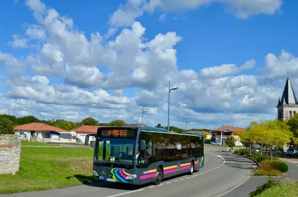 Monte Escalier Conseils Entreprise Monte escalier Narrosse