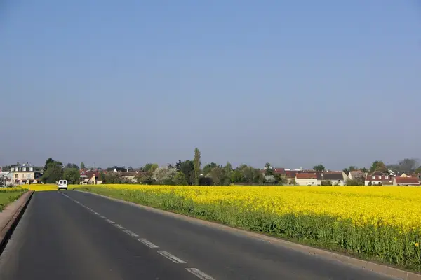 Monte Escalier Conseils Entreprise Monte escalier Noiseau