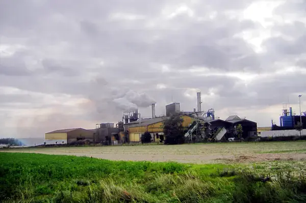 Monte Escalier Conseils Entreprise Monte escalier Ormes