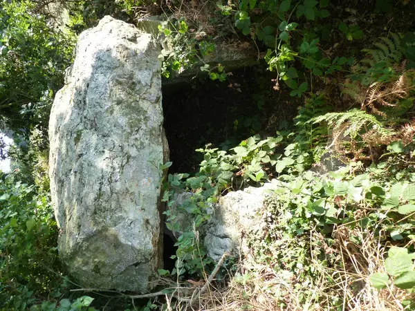 Monte Escalier Conseils Entreprise Monte escalier Plénée-Jugon