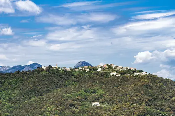 Monte Escalier Conseils Entreprise Monte escalier Prunelli-di-Fiumorbo