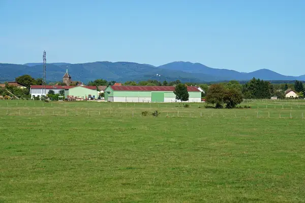 Monte Escalier Conseils Entreprise Monte escalier Roye