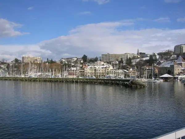 Monte Escalier Conseils Entreprise Monte escalier Thonon-les-Bains