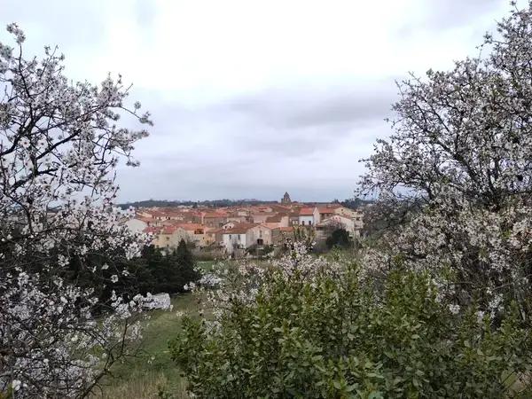 Monte Escalier Conseils Entreprise Monte escalier Trouillas