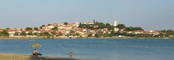 Monte Escalier Conseils Entreprise Monte escalier Villeneuve-de-la-Raho