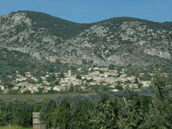Monte Escalier Conseils Entreprise Monte escalier Volx